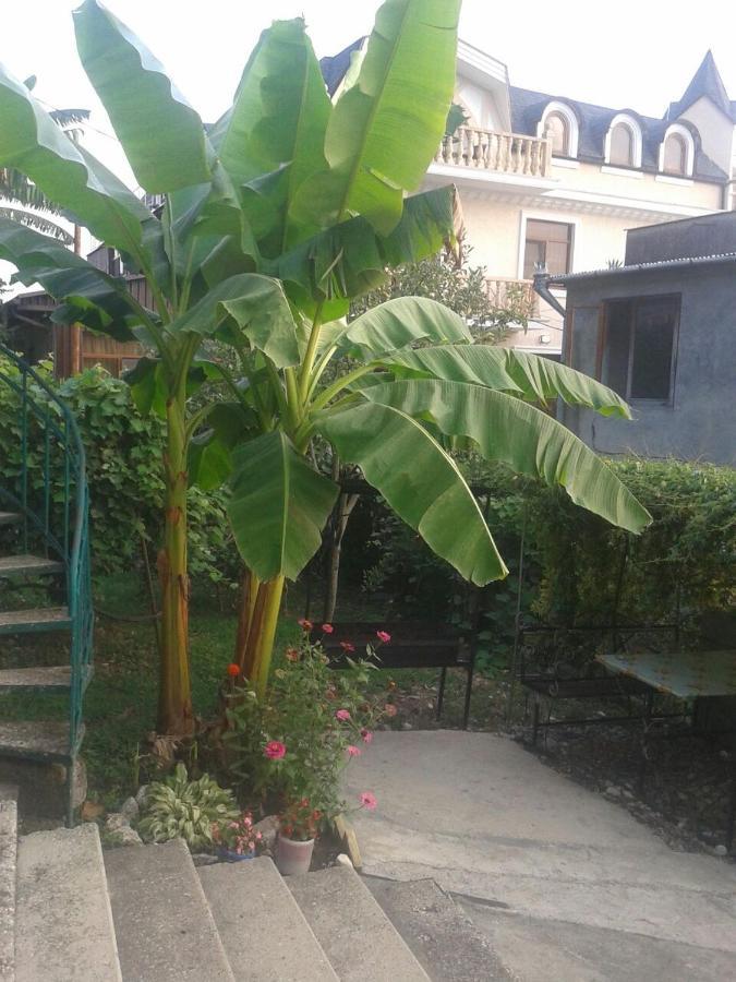 Guesthouse On Kabardinskaya 139A Γκάγκρα Εξωτερικό φωτογραφία