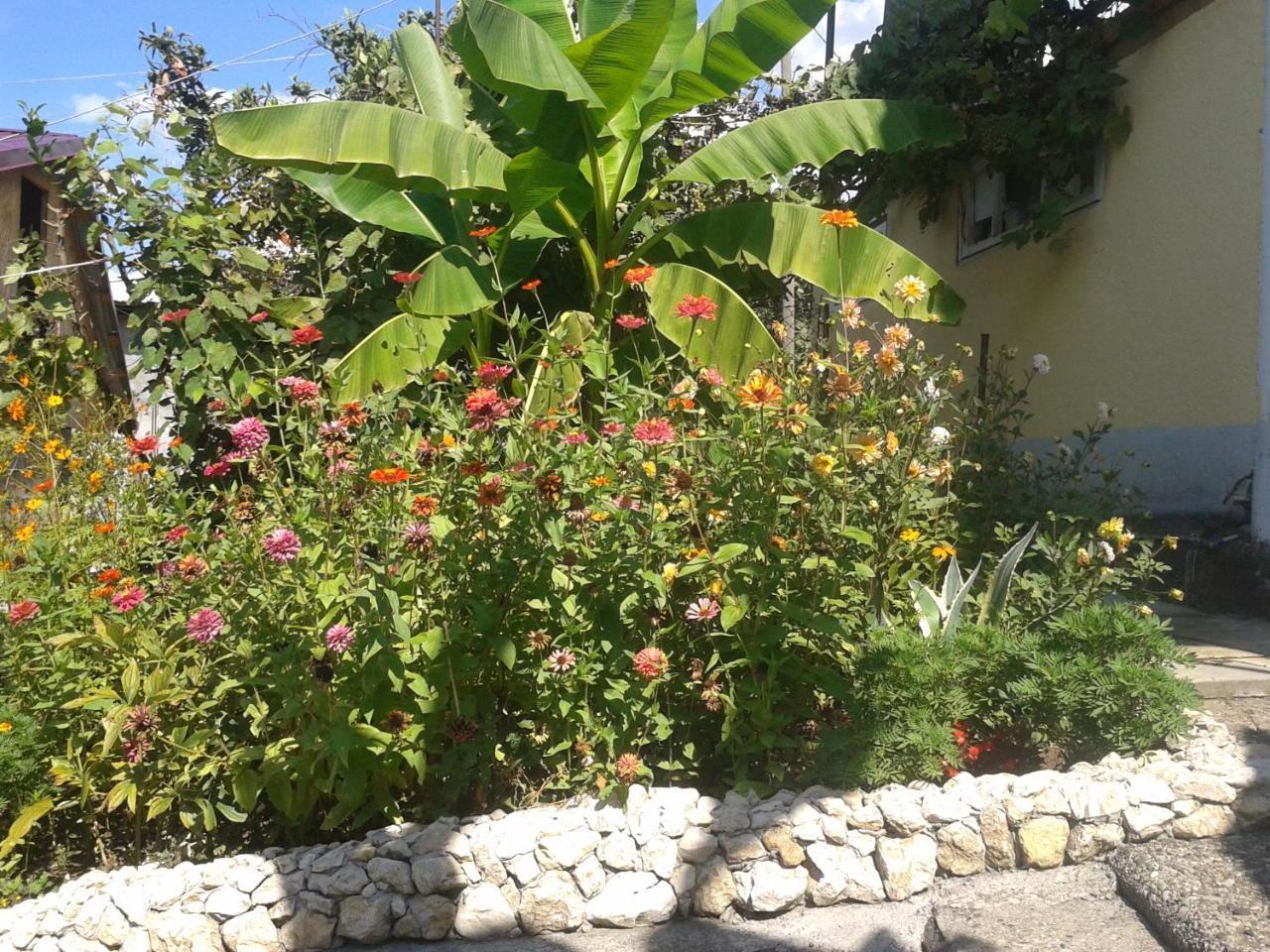 Guesthouse On Kabardinskaya 139A Γκάγκρα Εξωτερικό φωτογραφία
